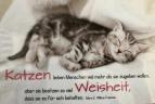 GILDE Frühstücksbrettchen Katzen lieben Menschen 