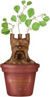 Harry Potter Tischvase Mandrake 