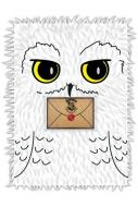 Harry Potter Notizbuch A5 Hedwig 