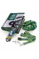 Harry Potter Schmuck & Merchandise Box Slytherin House 