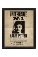 Harry Potter 3D-Effekt Poster Set im Rahmen Potter / Sirius 26 x 20 cm 