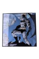 Batman Crystal Clear Picture Wanddekoration Gotham 32 x 32 cm 