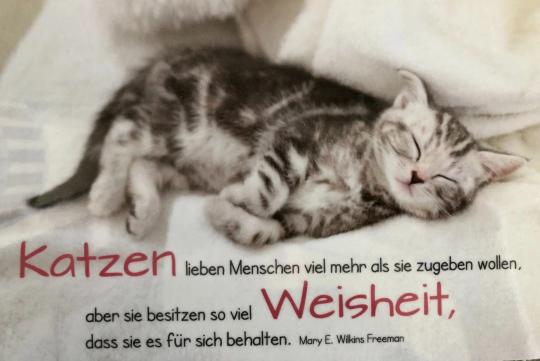 GILDE Frühstücksbrettchen Katzen lieben Menschen 