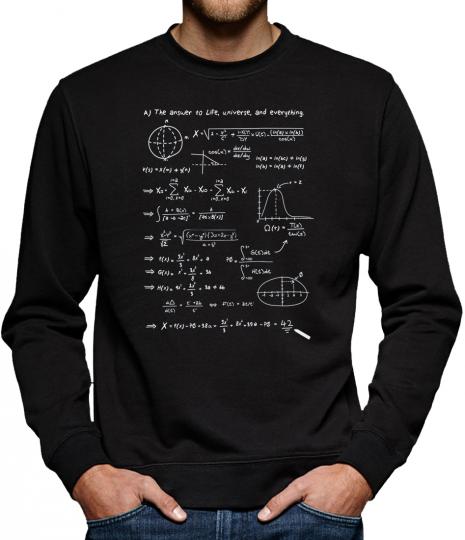 TLM The Answer to everything is 42 Sweatshirt Pullover Herren 