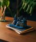 morepic-4