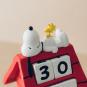 morepic-5