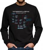 TLM The Friendship Algorithm Sweatshirt Pullover Herren 