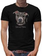 TShirt-People Pitbull, Liebe auf 4 Pfoten T-Shirt Herren 