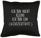 Ich bin nicht klein Kissen mit Füllung 40x40cm 